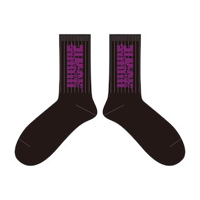 TOUR 2025-2026 Season2 ソックス(black)